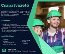 Csapatvezető