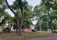 Debrecen Árpád téren Üzlethelyiség Kiadó