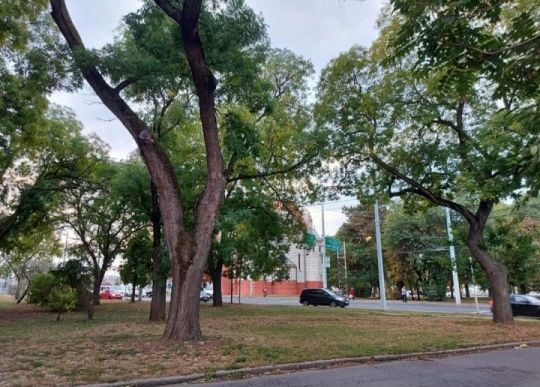 Debrecen Árpád téren Üzlethelyiség Kiadó