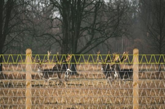Drótfonat ,trapézháló, vadháló, kerítésépítés ,oszlop