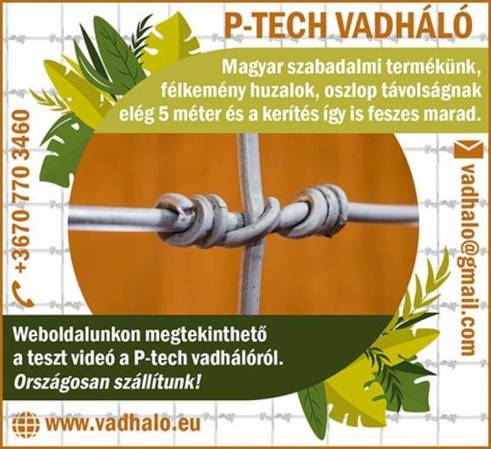 Drótkerítés vadháló tüskésdrót
