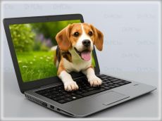#E50C Bomba ajánlat: HP EliteBook 820 G3 -Dr-PC-nél