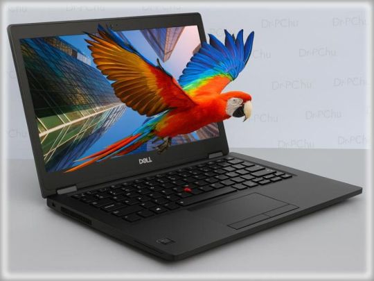 #EF99 Kell? Ved- DELL Latitude 5300