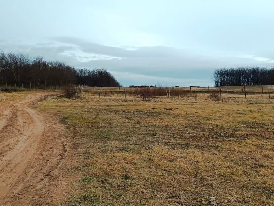 Eladásra kínálok 1314 m2-es és 1313 m2-es telket Őrbottyánban.
