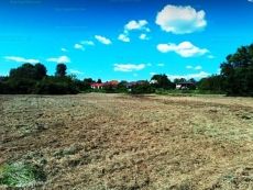 Eladó 8000 m2-es mezőgazdasági telek Göd-Nevelekben.