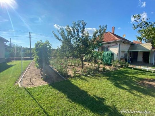 Eladó Családi ház 150nm+1105nm Gyüm. Kert Jászszentandráson