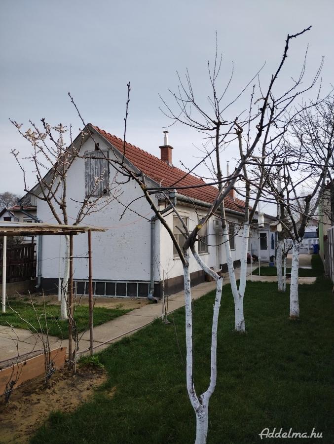 Eladó Debrecenben egy telken 2 családi ház egybe építve!