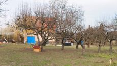 Eladó ház Cegléden az Öregszőlőben, Pest vármegyében.