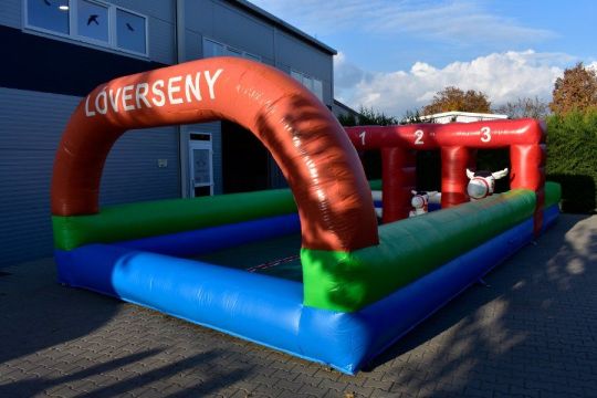 Eladó Lóverseny Pálya