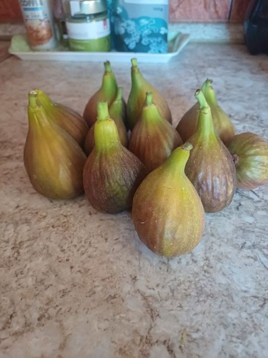 Eladó méz édes füge