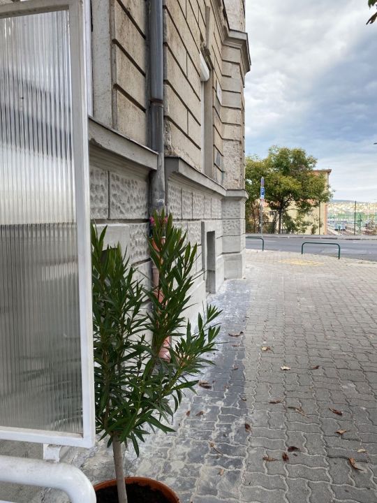 Eladó XII., 65 nm utcafronti üzlet