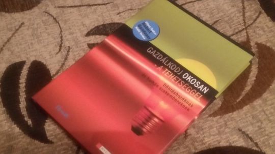 Elissa Tucker -R.Gandossy : Gazdálkodj okosan -a tehetséggel