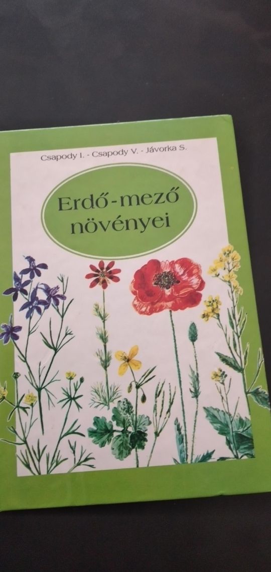 Erdő- mező növényei