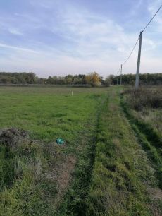 Ezüsttó utcában eladó mezőgazdasági zártkert