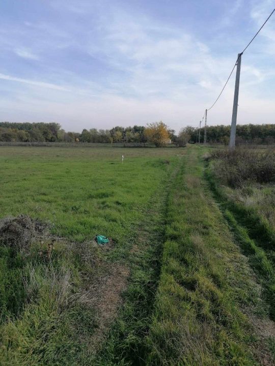 Ezüsttó utcában eladó mezőgazdasági zártkert