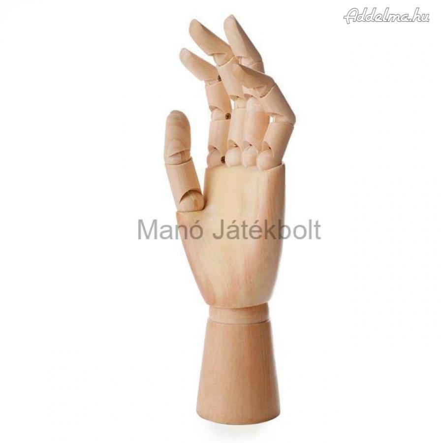 Fa modell kéz