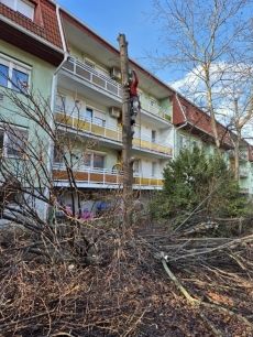 Fakivágás, favágás, alpintechnika