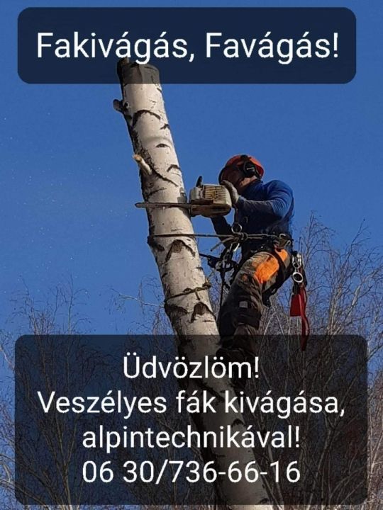 Fakivágás, fűkaszálás, bozótirtás, favágás