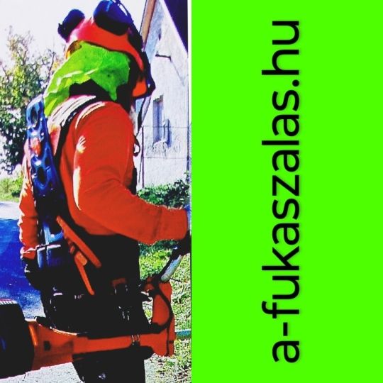 Fűkaszálás-Zöldterület-Kezelés-Telektisztítás-Bozótirtás
