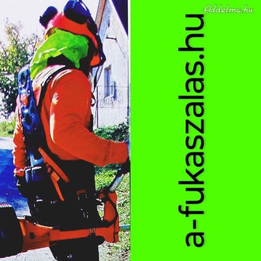 Fűkaszálás - Telektisztítás