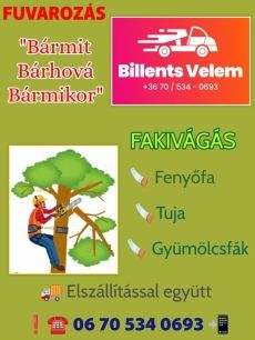 Fuvarozás Fakivágás