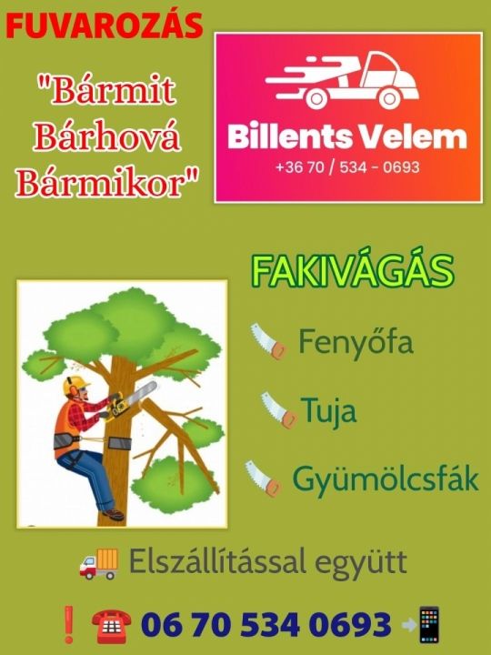 Fuvarozás Fakivágás