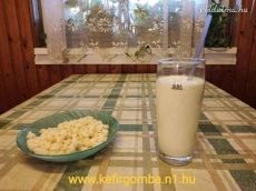 Garantált Prémium minőségű Tibeti Kefirgomba eladó!