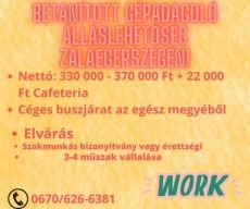 GÉPADAGOLÓ, ANYAGMOZGATÓ, RAKTÁROS ZALAEGERSZEG