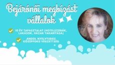 Gyakorlott bejárónő vállal lakás- és háztakarítást