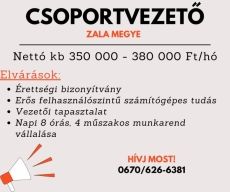 GYÁRI CSOPORTVEZETŐ ZALA MEGYE