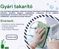 Gyári takarító