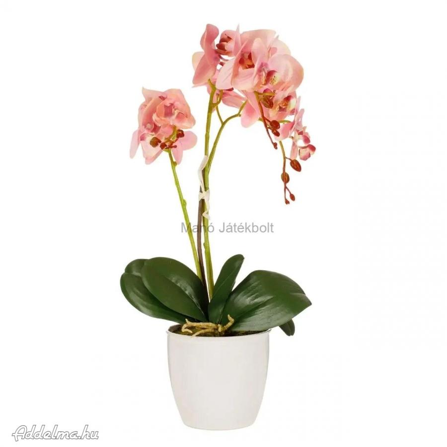 Gyönyörű élethű orchidea