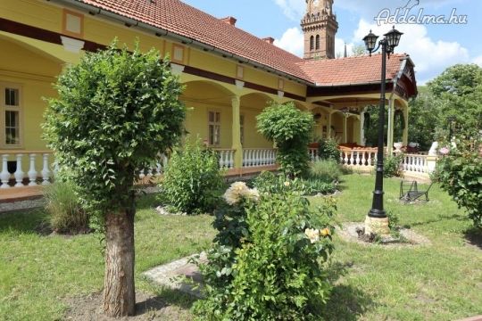 Kivételes Családi Ház a Város Szívében – Eladó!