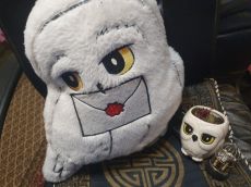Harry Potter - Hedwig párna, bögre kövirózsával