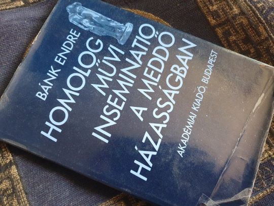 Homolog művi inseminatio a meddő házasságban +Lombikbébi