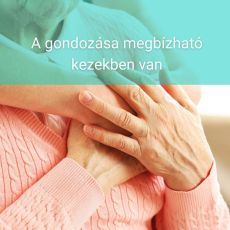 Idősgondozás, ápolás