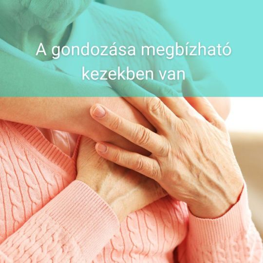 Idősgondozás, ápolás