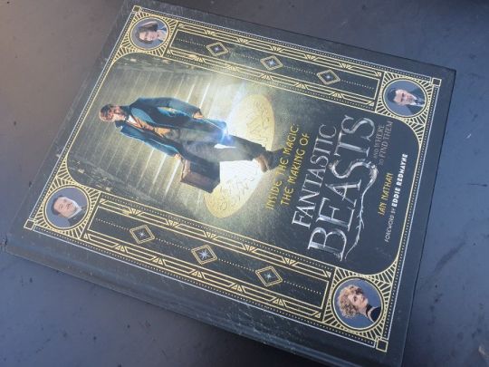 Inside The Magic The Making Of Fantastic Beasts And Where