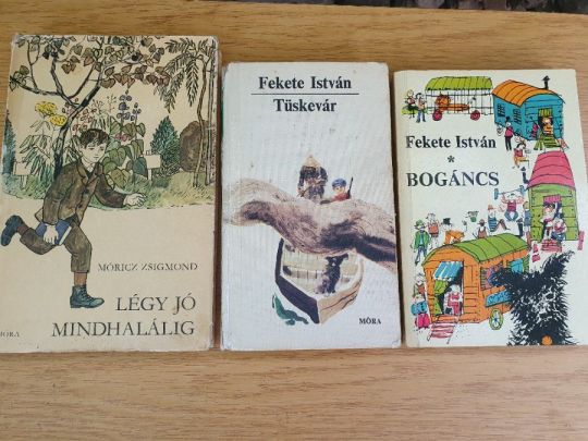 Iskolai kötelezők 10 -Kincskereső kisködmön,Bogáncs, Tüskevár