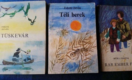 Iskolai kötelezők 2. -A kis herceg, Egri csillagok, Tüskevár