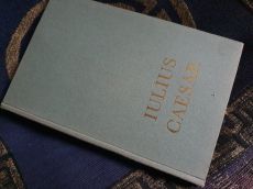 Iulius Caesar: A polgárháború