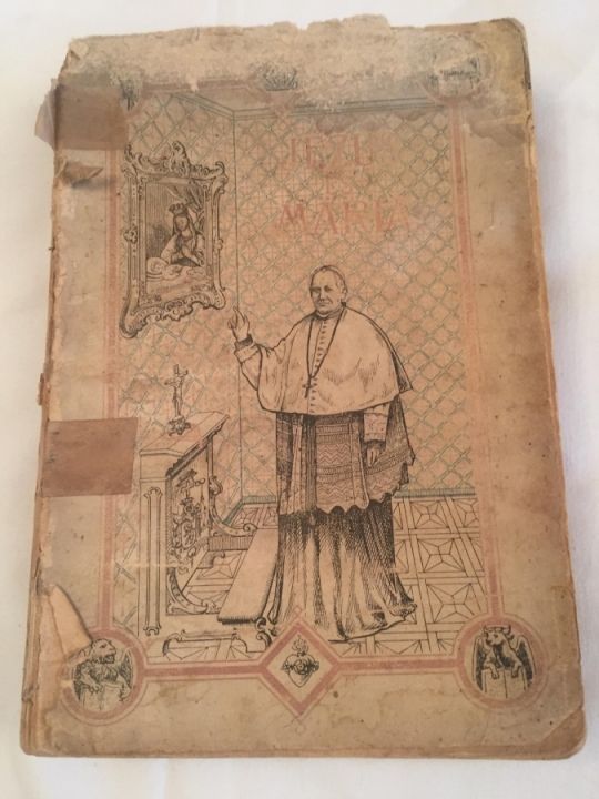 Jézus és Mária Ünnepi Szentbeszédek .1903