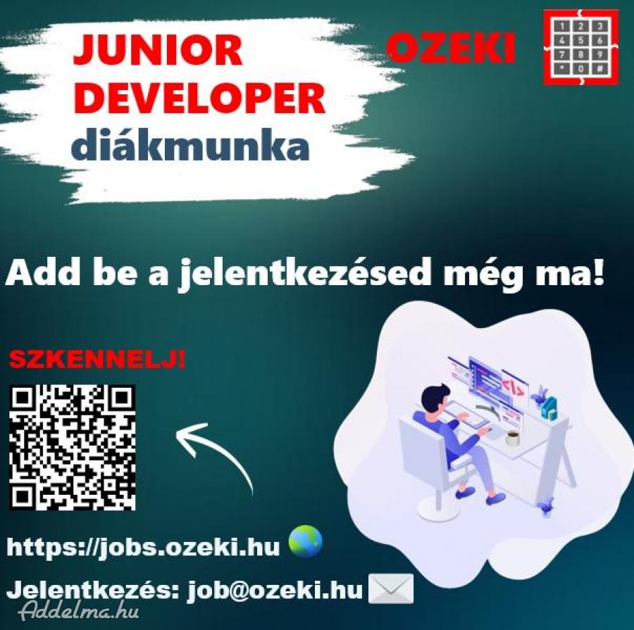 Junior fejlesztő - Diákmunka ősztől