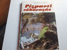 Kácsor L.: Vízparti táborozás+Tegzes-iskolai nomád táborozás