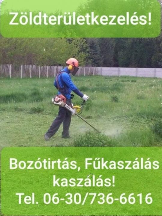 Kaszálás, bozótirtás, fűkaszálás, parlagfűírtás