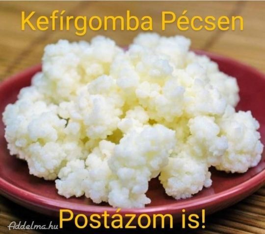 Kaukázusi kefírgomba