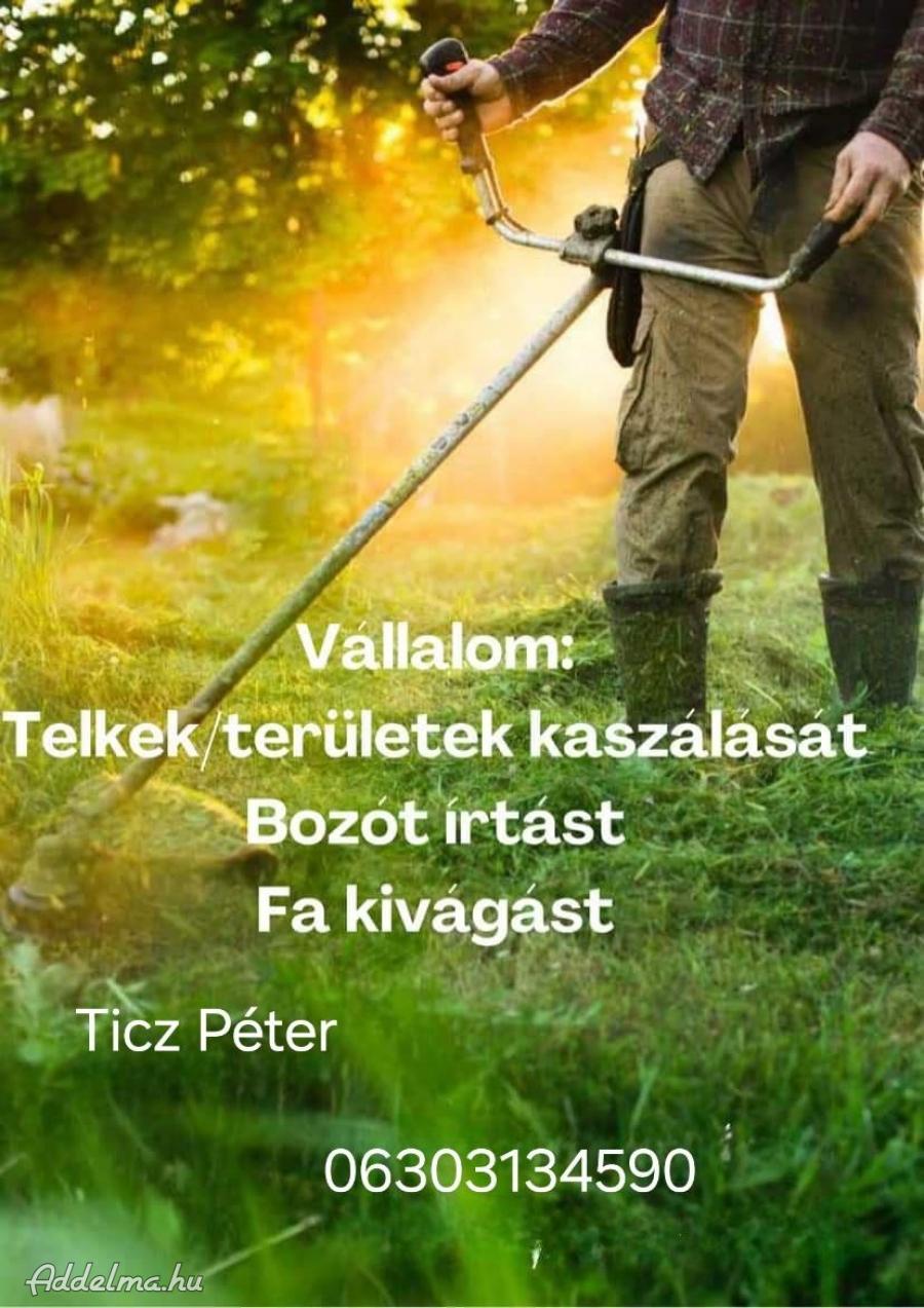 Kertek rendbetétele vállalunk