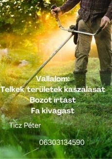 Kertek Szőlő karbantartás vàllaljuk