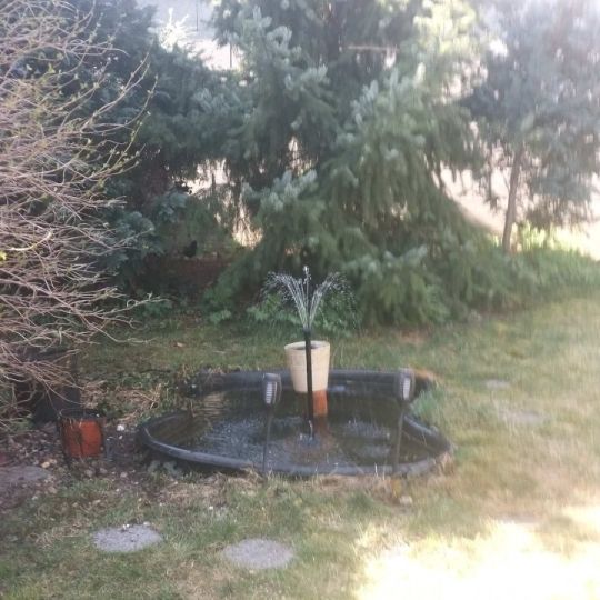 Kis kerti tó eladó