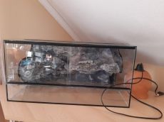 Kisállat terrárium